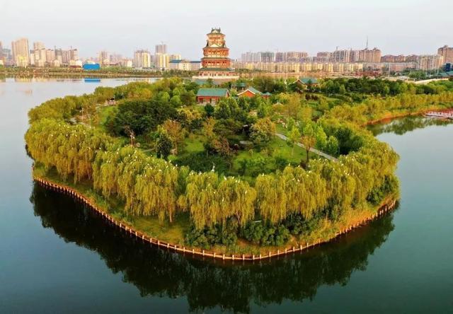 橙黄橘绿之时,成武美景连连!