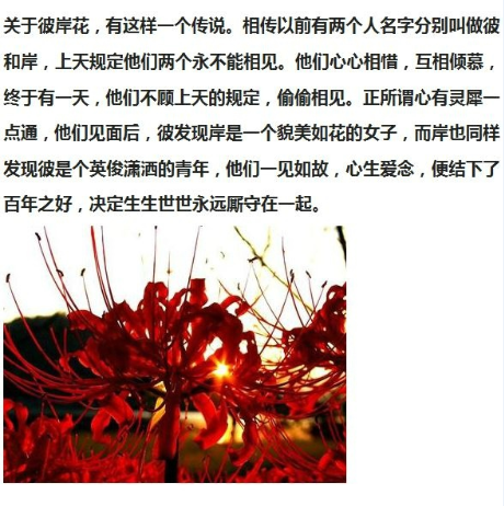 彼岸花,忘川河,奈何桥,孟婆汤是这么来的!