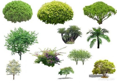      内容简介 psd格式,每个植物