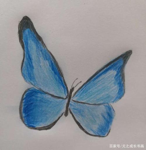 两只蝴蝶,儿童彩铅简笔画!