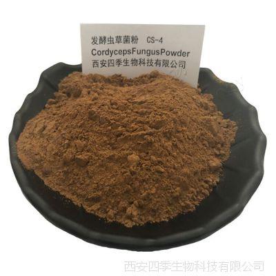 发酵虫草菌粉 蝙蝠蛾拟青霉cs-4 四季生物 发酵冬虫夏草粉
