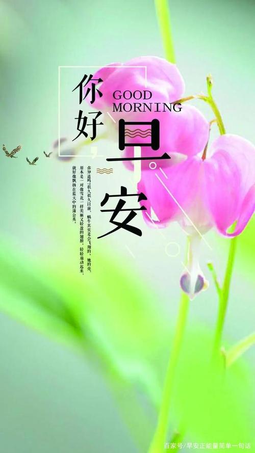 早安正能量简单一句话 周末阳光早上好问候图片