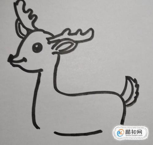 06 画出小鹿的尾巴,小鹿的尾巴短小一些,是往上翘的.