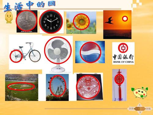 圆的认识课件ppt下载_苏教版五年级数学下册课件