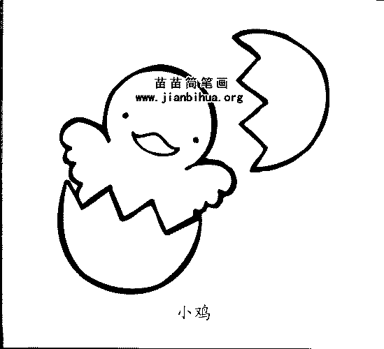 家禽家畜简笔画 >> 正文内容   小鸡知识: 小鸡就是鸡的幼崽,从鸡蛋中