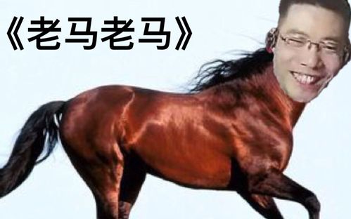 大司马鬼畜《老马老马》