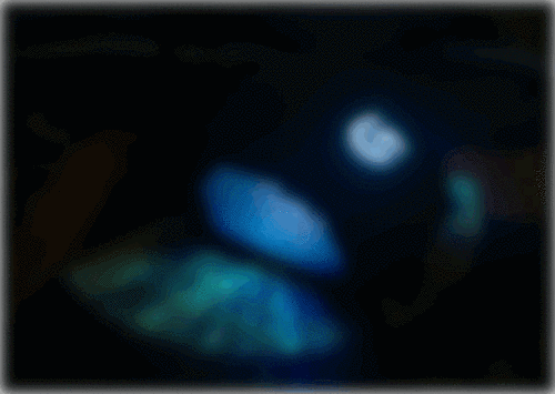 "呼吸灯太漂亮了,就要任性的放在前面"——培根        公司加班