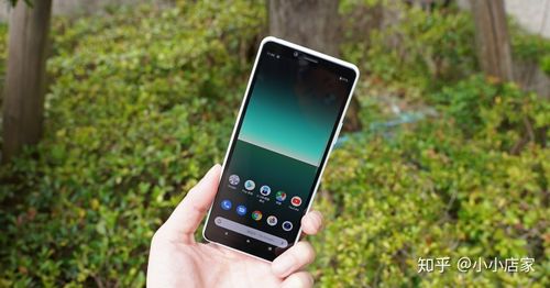 索尼xperia10 ii 你会选择什么颜色呢?