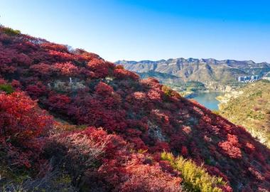 青州景点介绍,青州旅游景点,青州景点推荐 - 马蜂窝