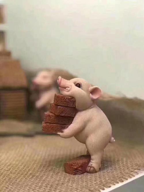 小猪搬砖的图片有什么含义,这个梗出自哪里啊