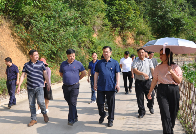 刘扬深入乡镇调研指导基层党建工作_麻栗坡先锋