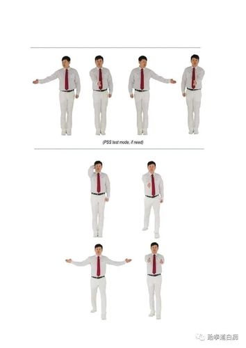 wt跆拳道竞技裁判手势图集,请收藏好这份干货!