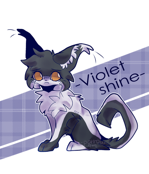 猫武士 - 雀尘-sparrow