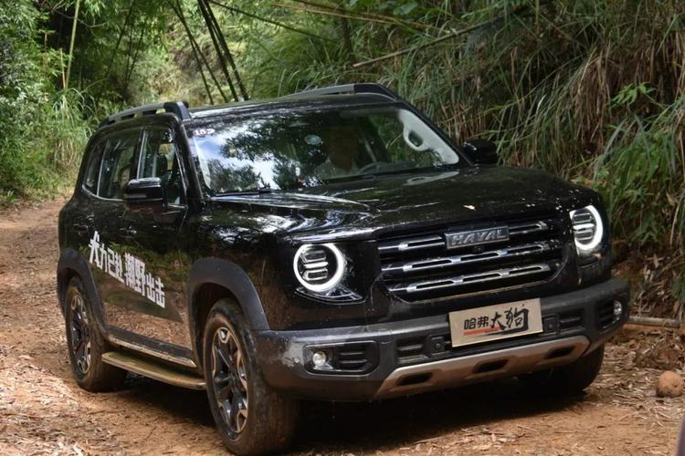 哈弗大狗最终形态20t动力四驱两把锁城市越野全路况兼顾
