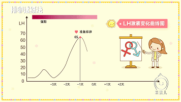 定量试纸监测lh激素变化,当曲线到达高峰值65强阳状态时,说明准备排卵