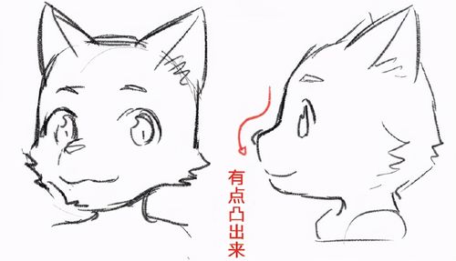 怎么画动物拟人化?教你改变重点画出各种拟人动物!