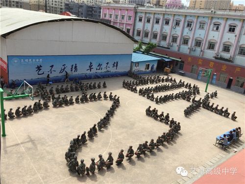 昆明艺卓中学是"艺卓教育"集团旗下的一所全日制普通中学,定位于"新型