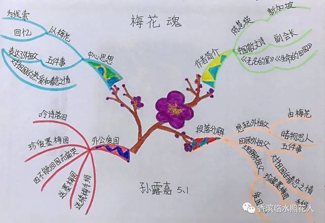 《梅花魂》思维导图 资料汇编——优秀作业是班级的财富,应该共享.