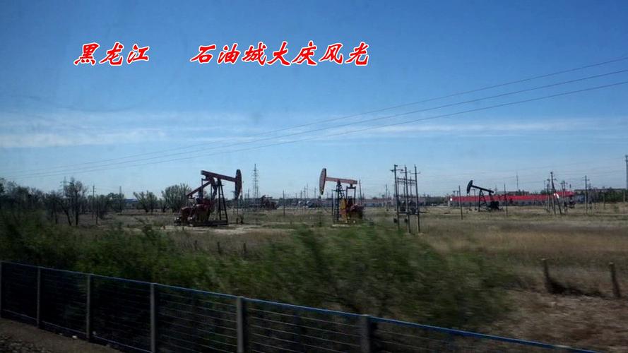 黑龙江扎龙保护区与大庆——《2015"东北亚游记》电视片之二十四