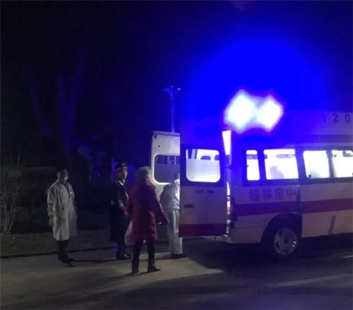 (三名秩序协同工作人员将业主抬上救护车)