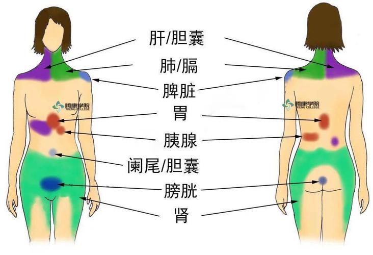 胰腺炎疼痛部位通常在上腹部,有时可放射到后背和