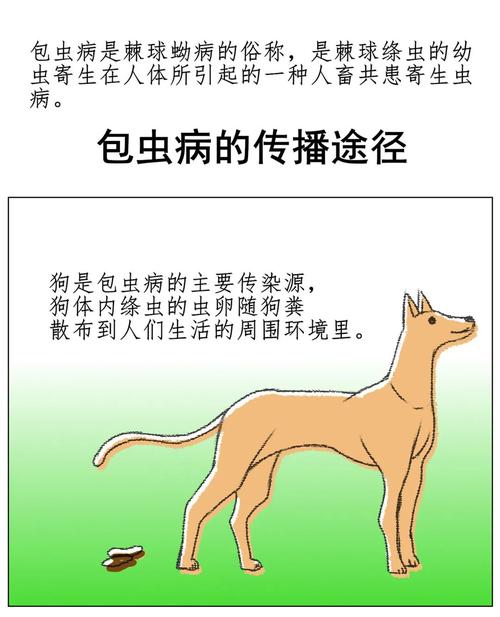 科普漫画说防病之预防包虫病