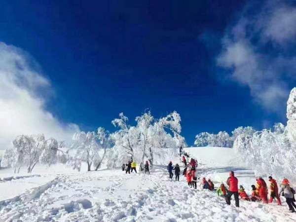 廊坊小型滑雪场地设计-产品认证