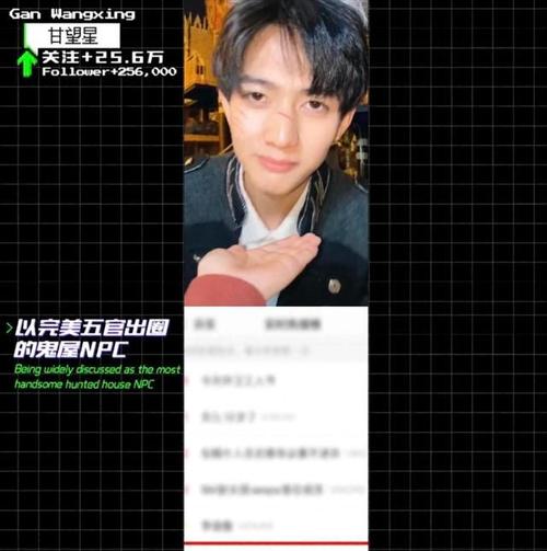 没出道的甘望星又火了:下岛后独自美丽,生图曝光如在逃王子