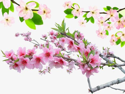 春天粉红色的桃花开放了这句话的拟人句