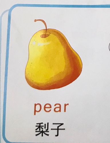 英语   梨子  pear