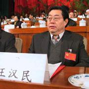 王汉民