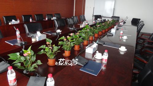会议室绿植花卉摆放(点击进入)