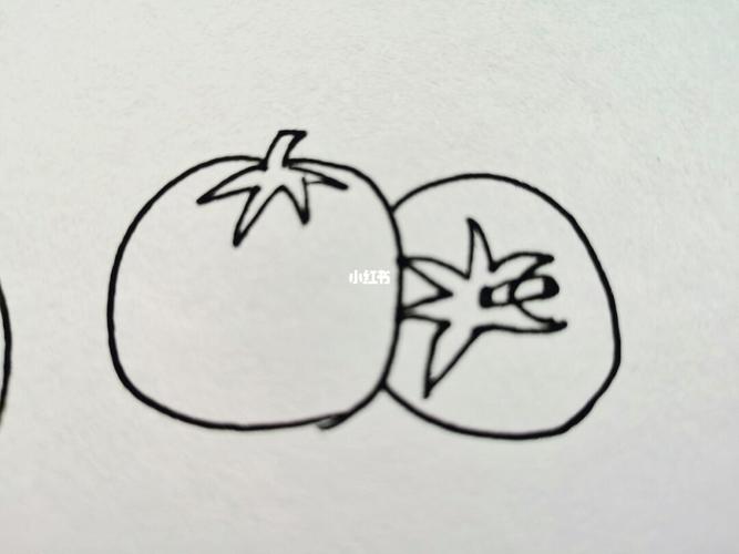幼师day109---简笔画:番茄97_简笔画_幼师_炒蛋_文化_绘画