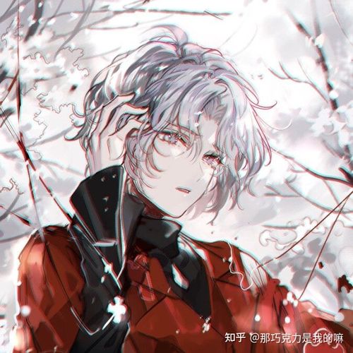 白头发的动漫男头像有哪些
