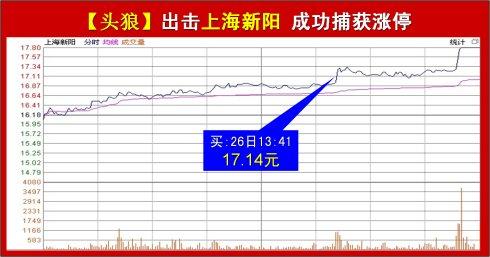这次他选择了一只创业板股票—上海新阳
