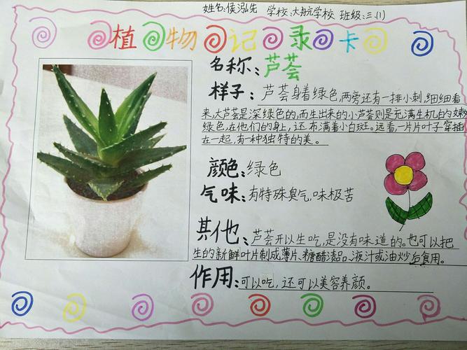 植物记录卡——三年一班