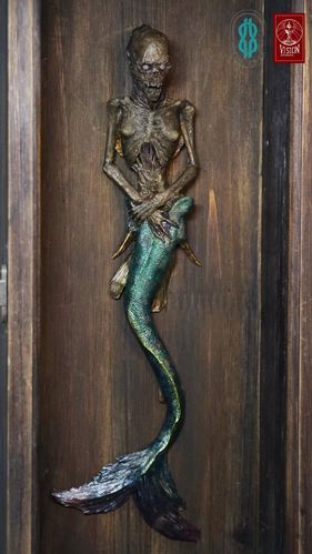 神秘人鱼干尸来历大揭秘另有特别版本更新