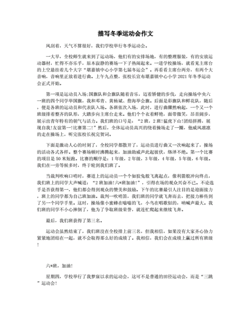 描写冬季运动会作文.docx 3页