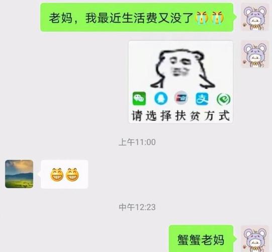 大学生要生活费用表情包而走红父母看完秒懂学生下次试试看