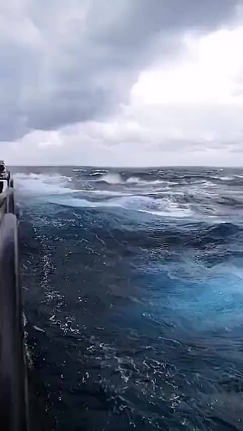 你有深海恐惧症吗?