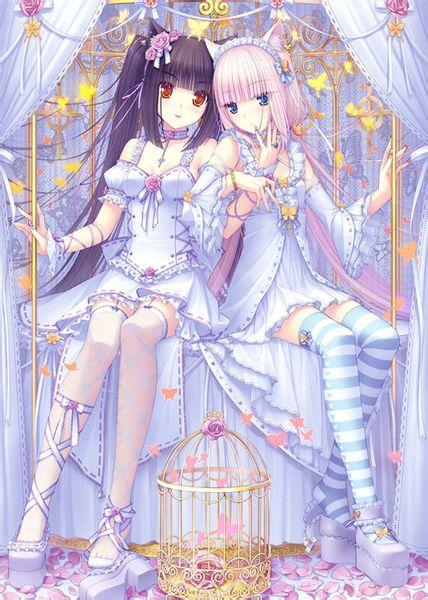 黑白双子 猫耳女孩 百度有图 请问何名?(要图,是动漫