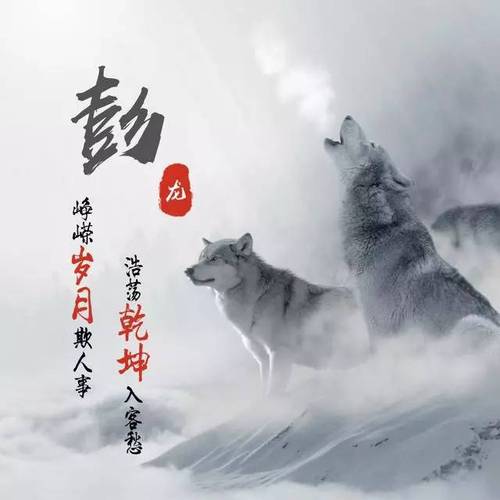 成疾希望大家能够喜欢今天给大家带来一款超好看霸气狼虎姓氏微信头像