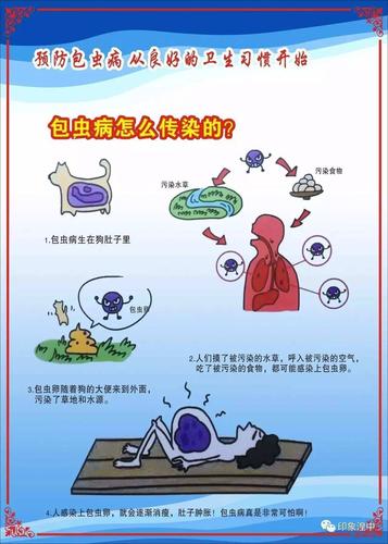 互助县城西幼儿园预防包虫病第一期宣传