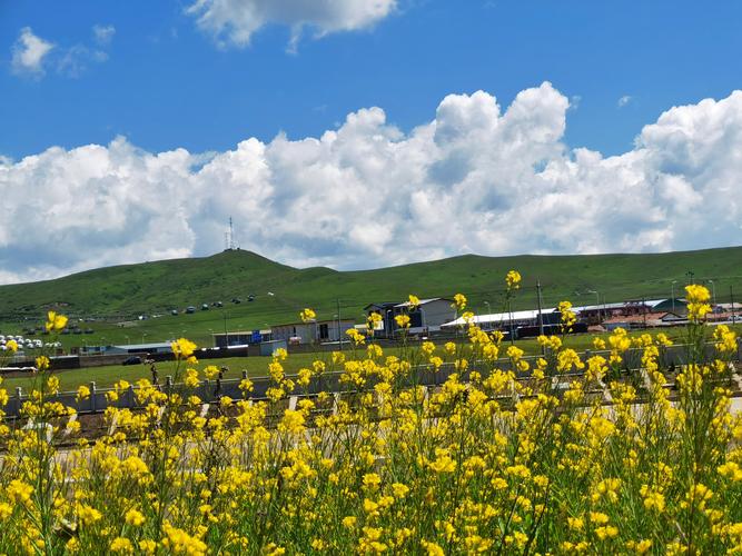 甘南美景 - 花粉随手拍风光 花粉俱乐部