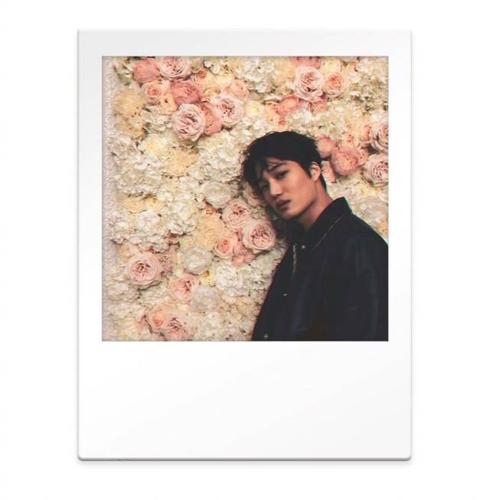 钟仁ins暴风更新! 花海中的帅气花仙子