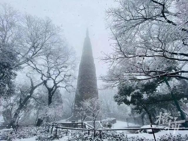杭州大雪把东北司机看激动了为什么这次雪下得那么认真橙友圈雪景大赛
