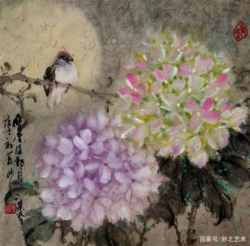 每周一画之绣球花
