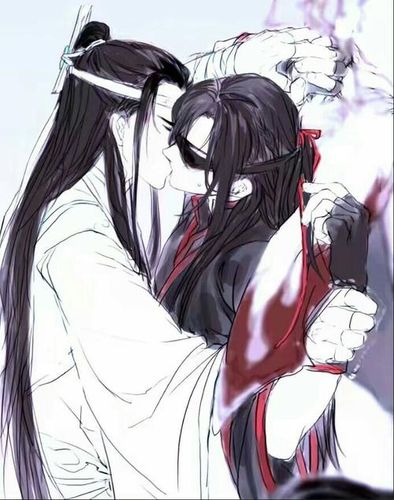 魏无羡(魏婴)蓝忘机(蓝湛)#魔道祖师