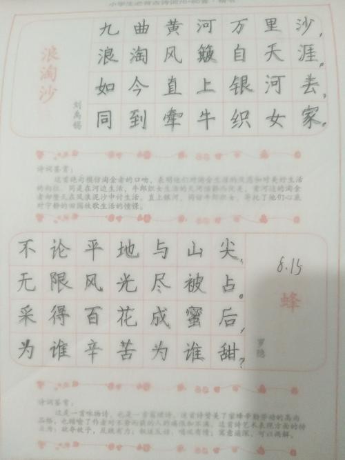 8.15杨嘉怡