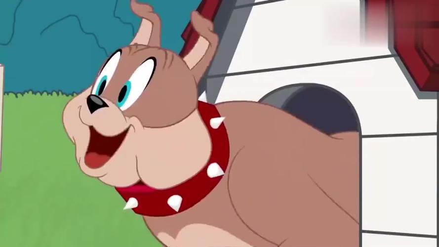 猫和老鼠:汤姆和杰瑞,居然一起给斯派克过生日